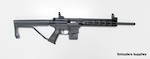 Smith & Wesson M&P 15-22 22LR A-Cat