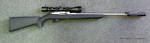Ruger 10/22 Stainless Steel Hogue Stock Package