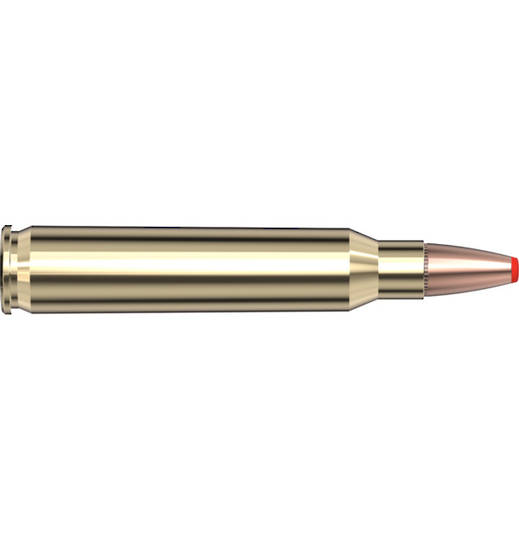 Hornady 223 Rem Critical Defense 55gr FXT