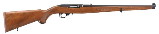 Ruger 10/22 Fully wooded 22LR
